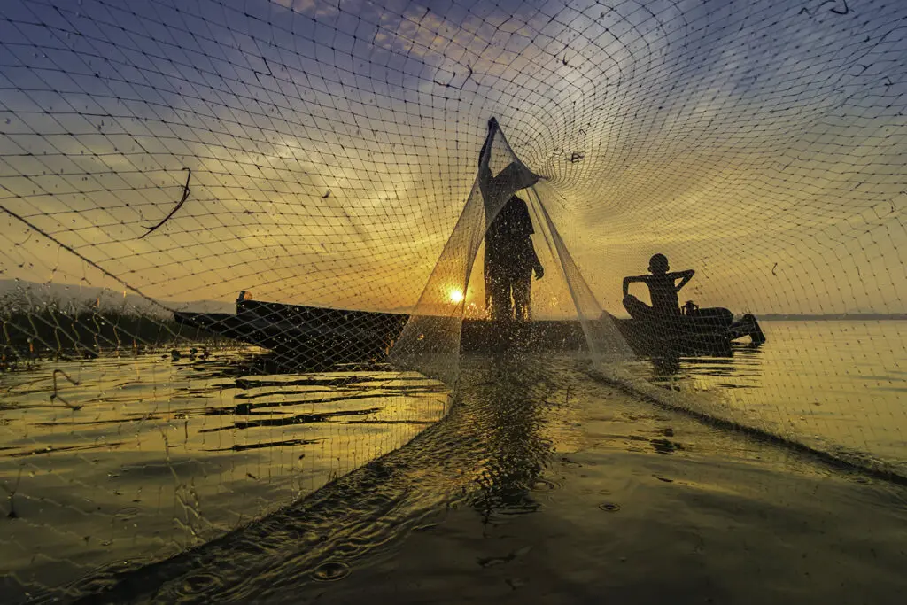 Probiotics proved to enhance fish growth performance