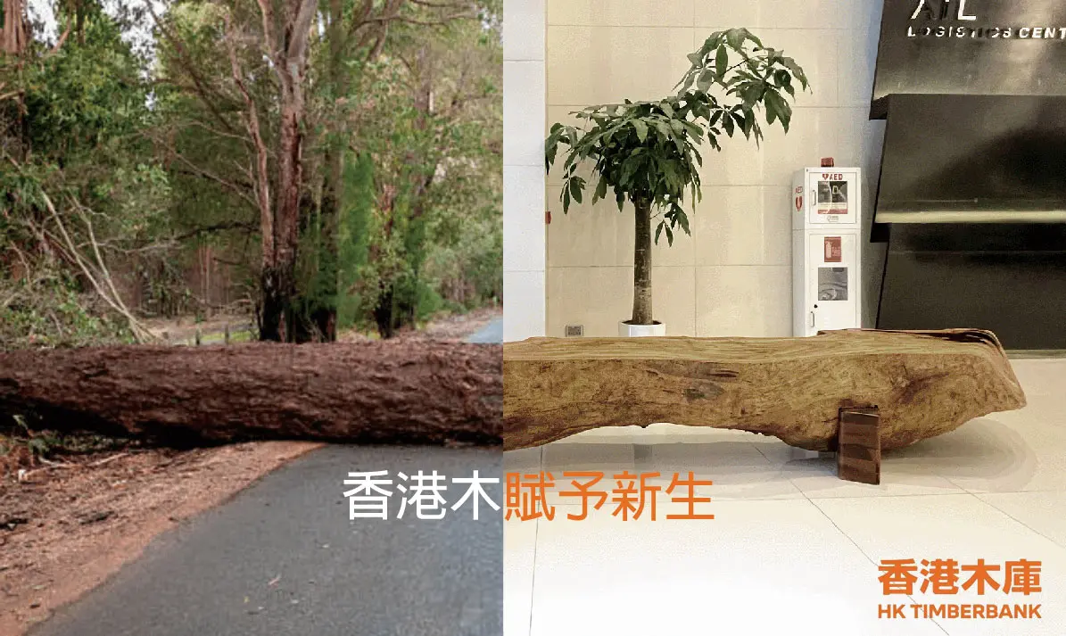 Creative Advertising and Media Design students win Gold at the HK2A ESG Marketing Excellence Award